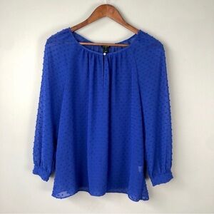 J. Crew Sheer Blue Long Sleeve Blouse Relaxed Fit Size Small